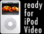 iPod Ready - Video Gallery download